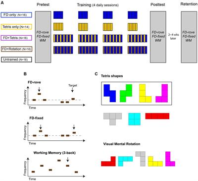 Supramodal Enhancement of Auditory Perceptual and Cognitive Learning by Video Game Playing